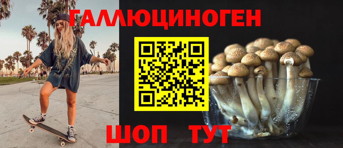 Галлюциногенные грибы Cubensis  Вход с VPN  Рославль 