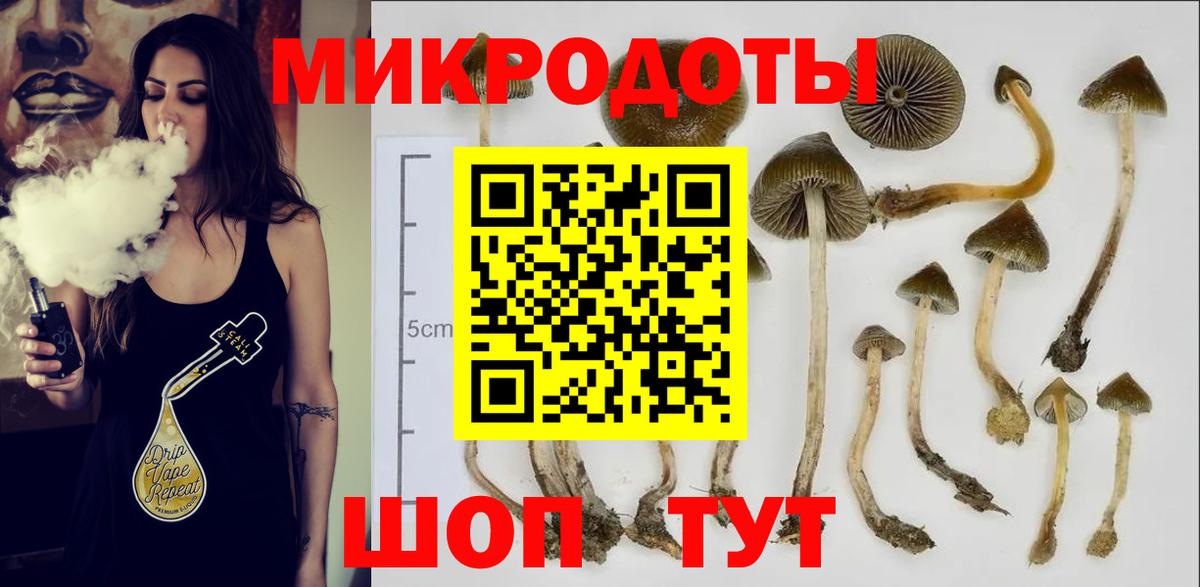 Галлюциногенные грибы MAGIC MUSHROOMS Рославль